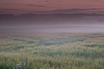 Fog, sundset and  landscape