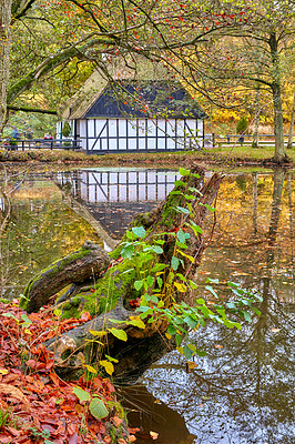 Buy stock photo Beautiful park with a lake during autumn with yellow leaves and plants outdoors in nature. Children's house near bright and vibrant foliage reflected in pond water in a peaceful location