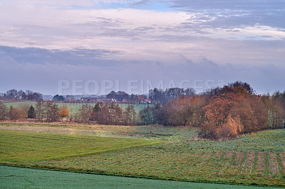 Buy stock photo Landscape view of a lush green farm in the countryside during the day. Secluded and deserted farmland in a rural natural setting. Empty and remote field or meadow in a peaceful and calm environment