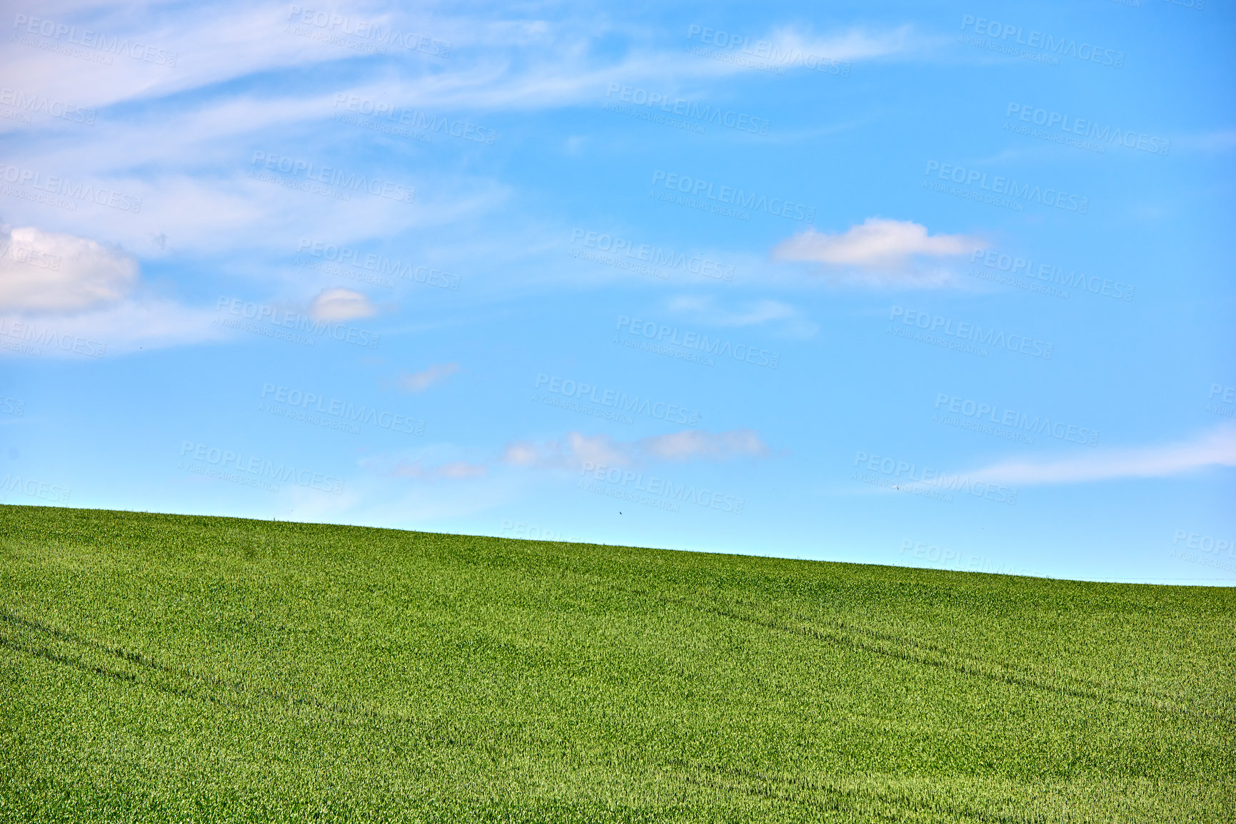 Buy stock photo Green fields and blue sky in spring and early summer