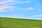 Green fields and blue skies 