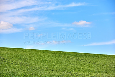 Buy stock photo Green fields and blue sky in spring and early summer