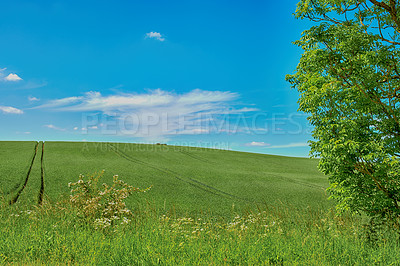 Buy stock photo Farmland in springtime - lots of copy space