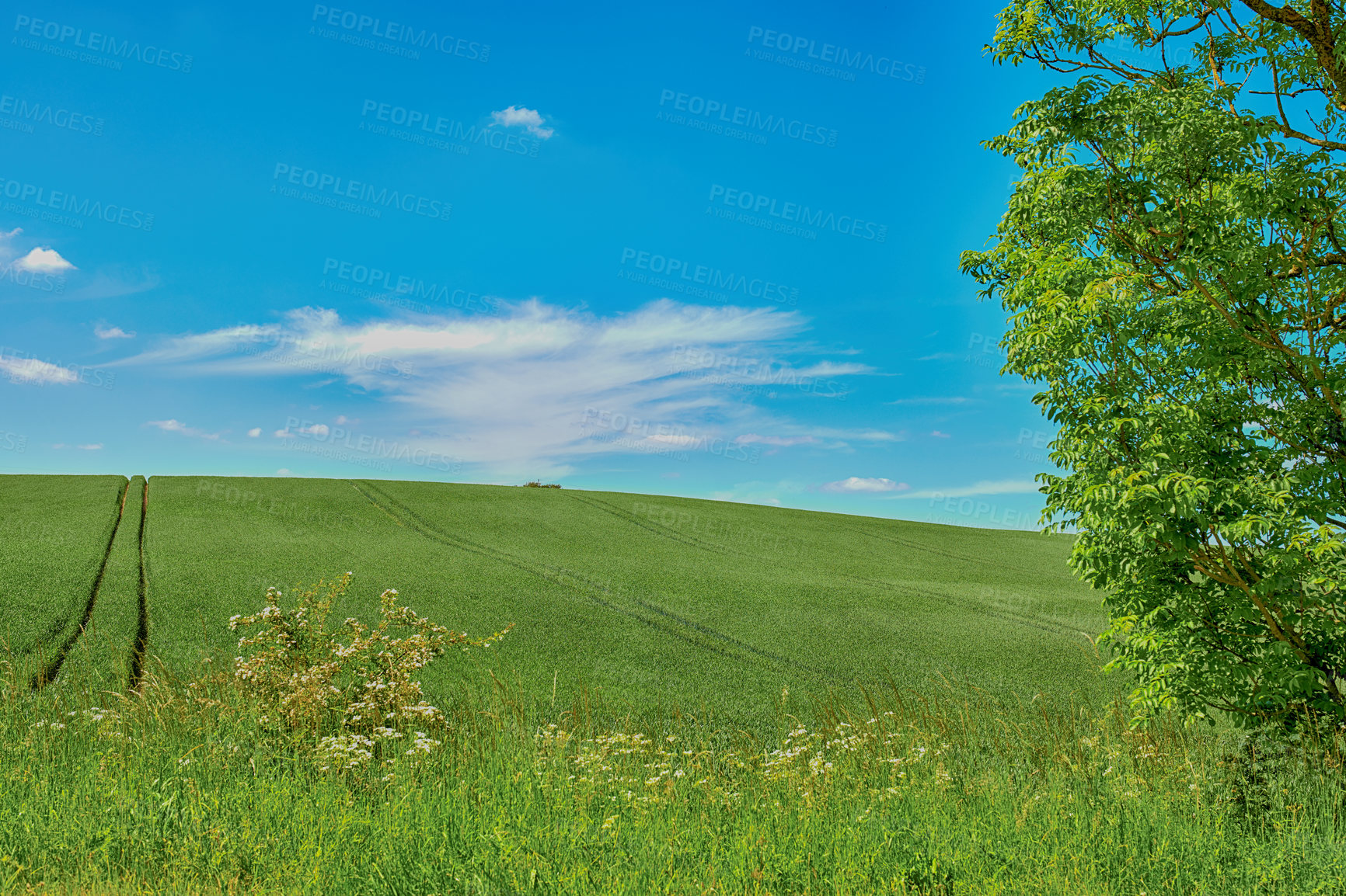 Buy stock photo Farmland in springtime - lots of copy space