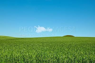 Buy stock photo Farmland in springtime - lots of copy space