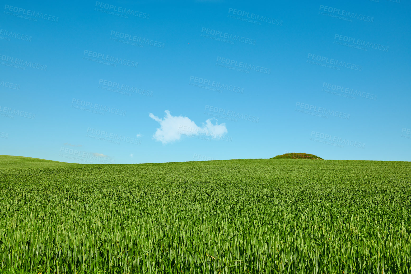 Buy stock photo Farmland in springtime - lots of copy space