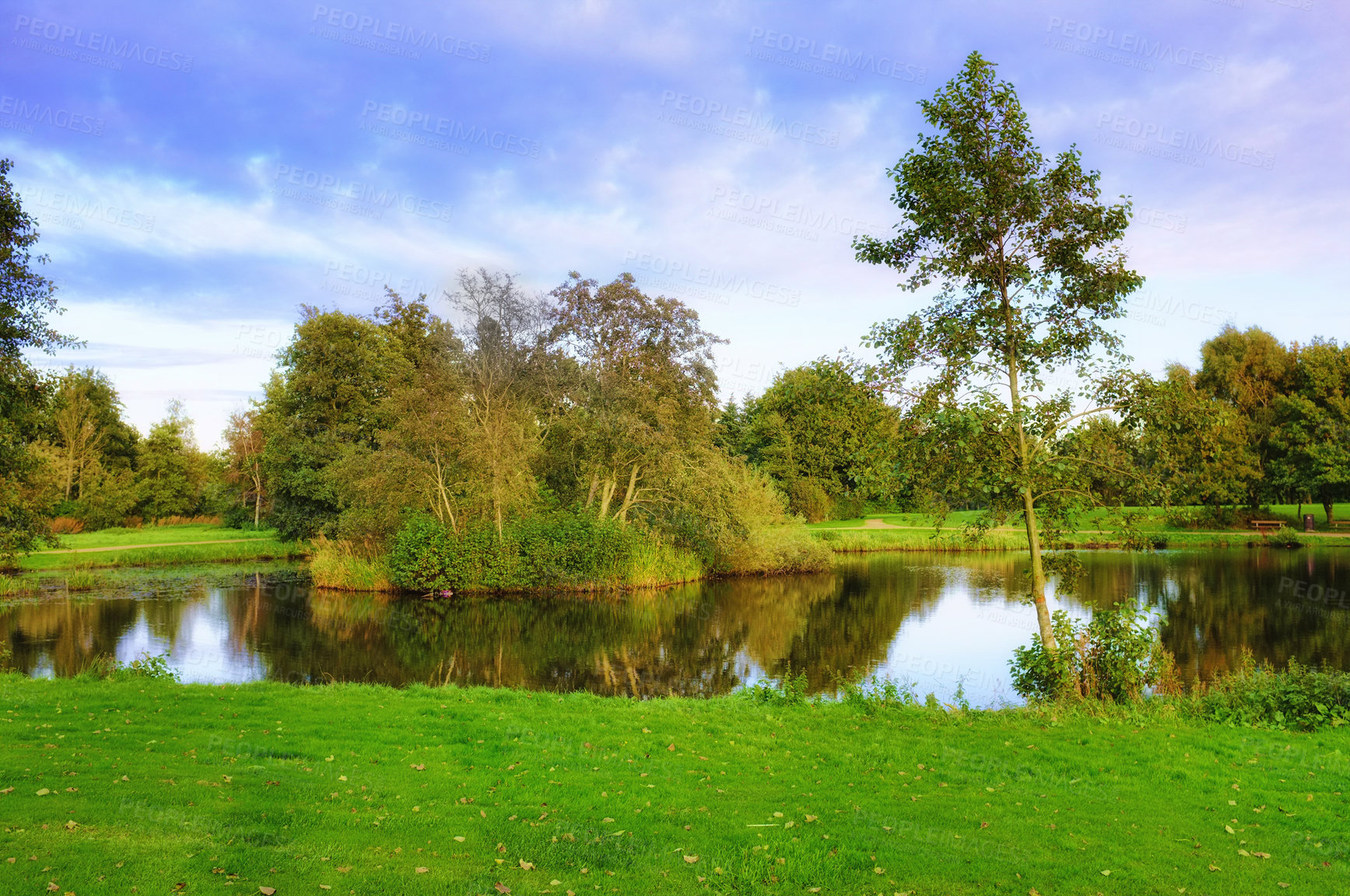 Buy stock photo A photo of water and nature