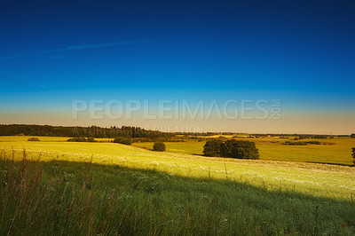 Buy stock photo Farmland ready for harvesting