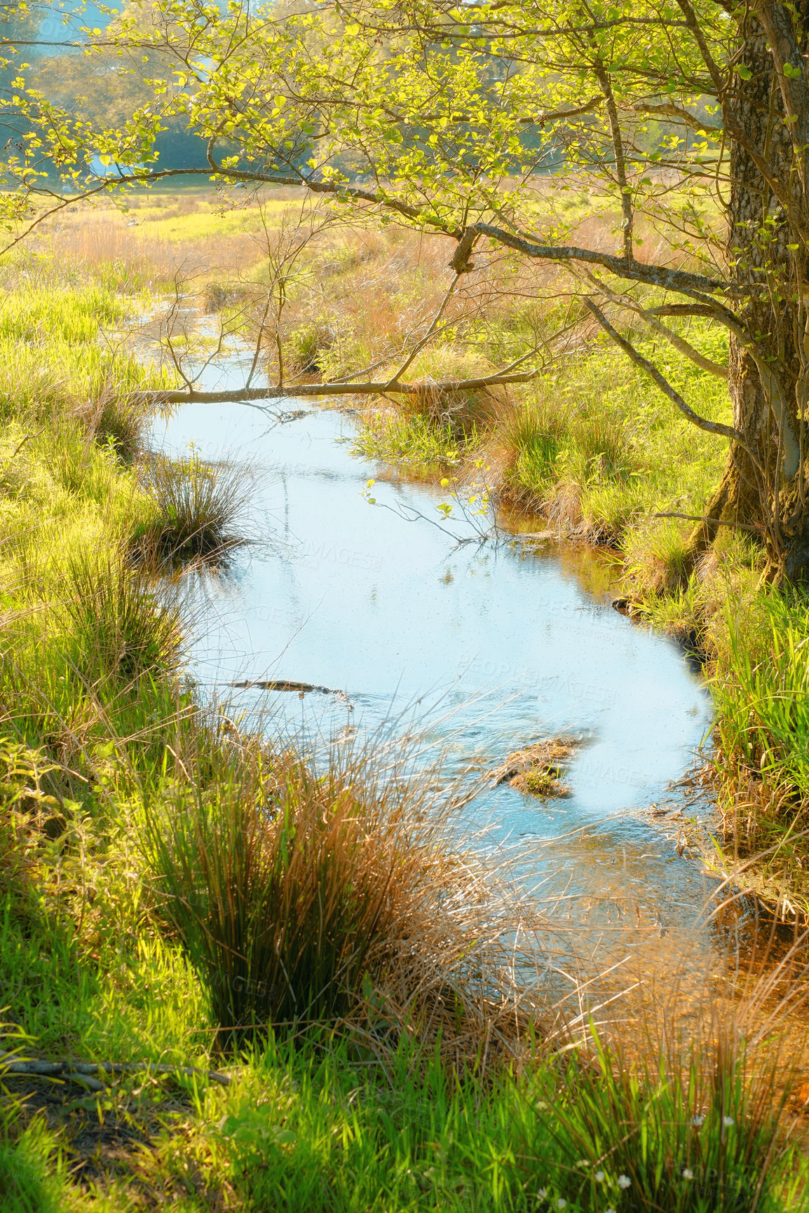 Buy stock photo A photo of a small creek and lake