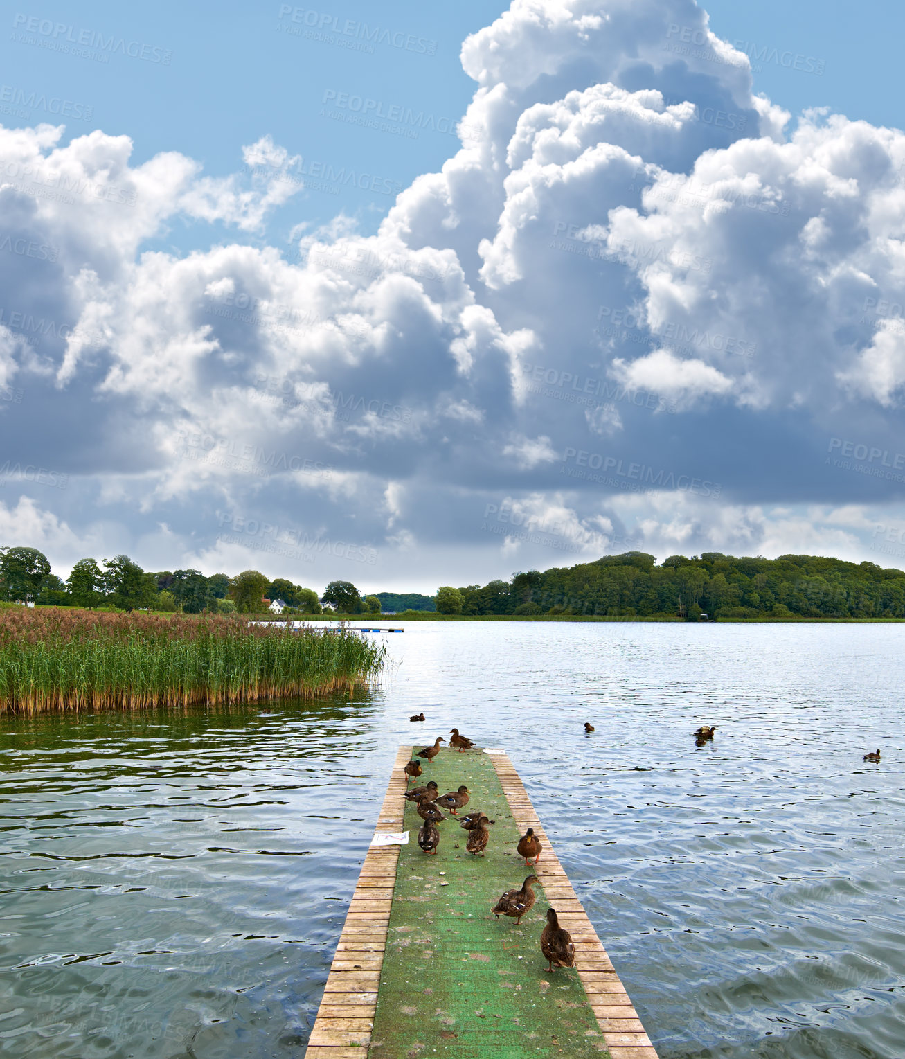 Buy stock photo A photo of Jetty on a lake