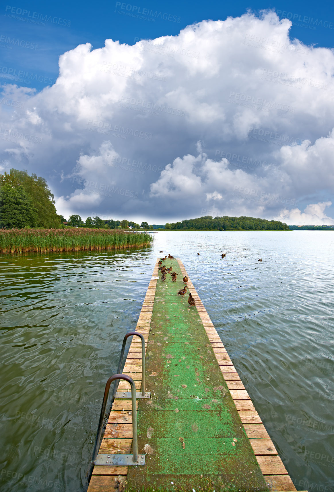Buy stock photo A landscape pier and lake