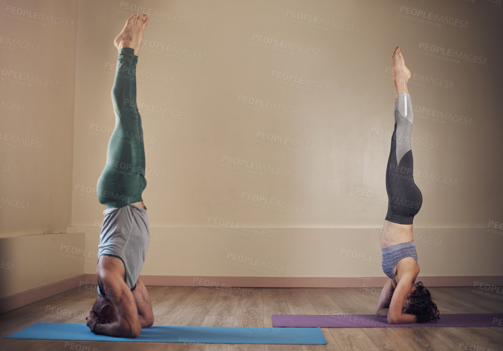 Buy stock photo Full length shot of two unrecognizable yogis holding elbow stands during an indoor yoga session