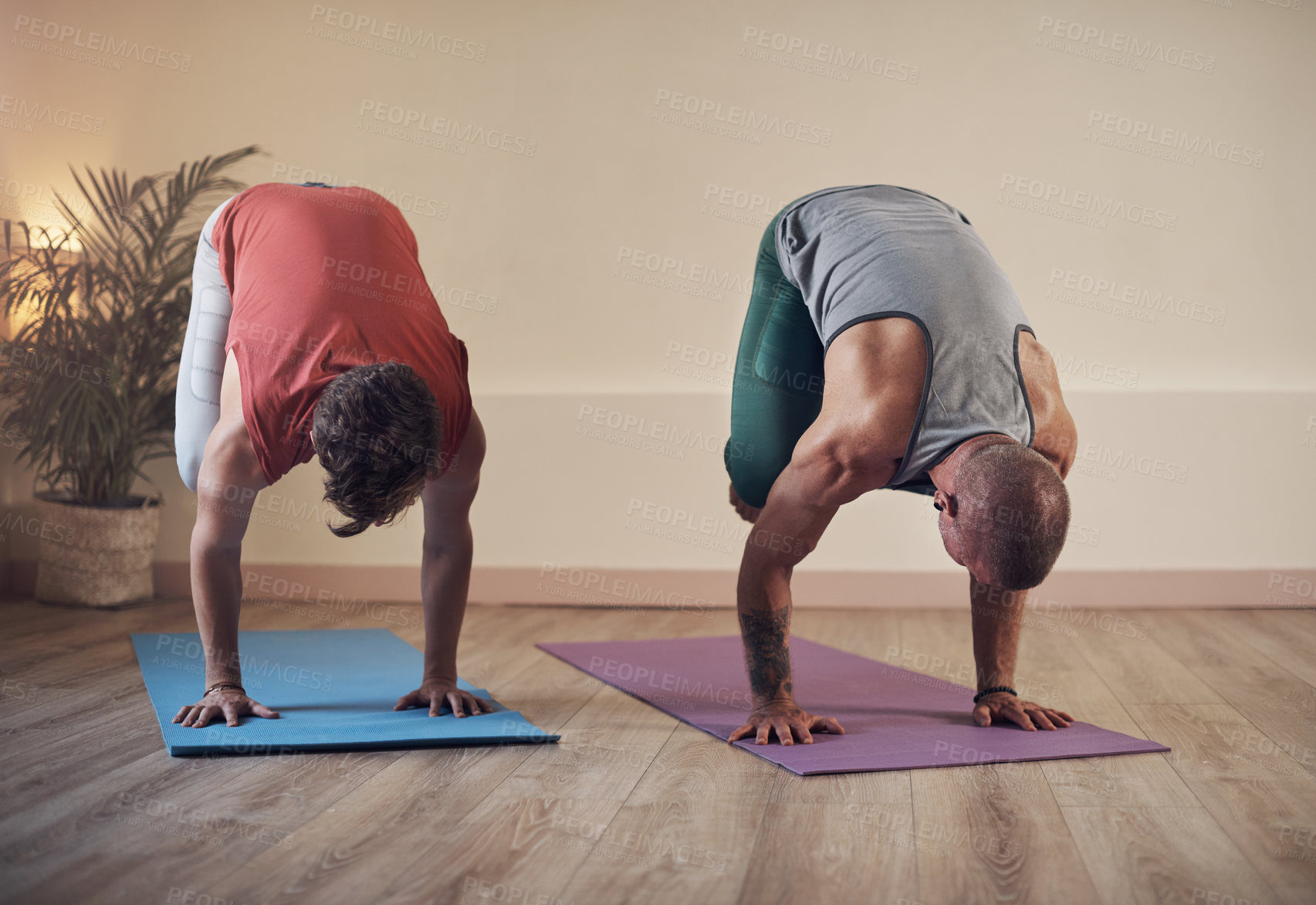 Buy stock photo Full length shot of two unrecognizable men holding a crane pose during an indoor yoga session together