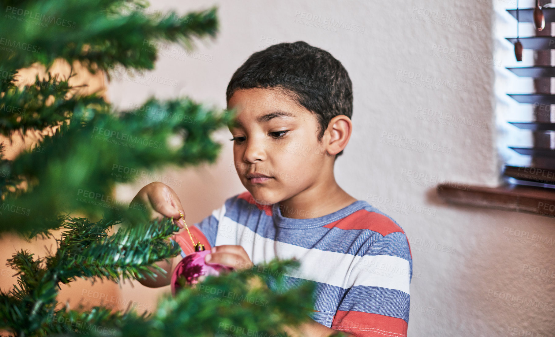 Buy stock photo Cropped shot of a carefree little boy putting up Christmas decorations on a tree at home during Christmas time