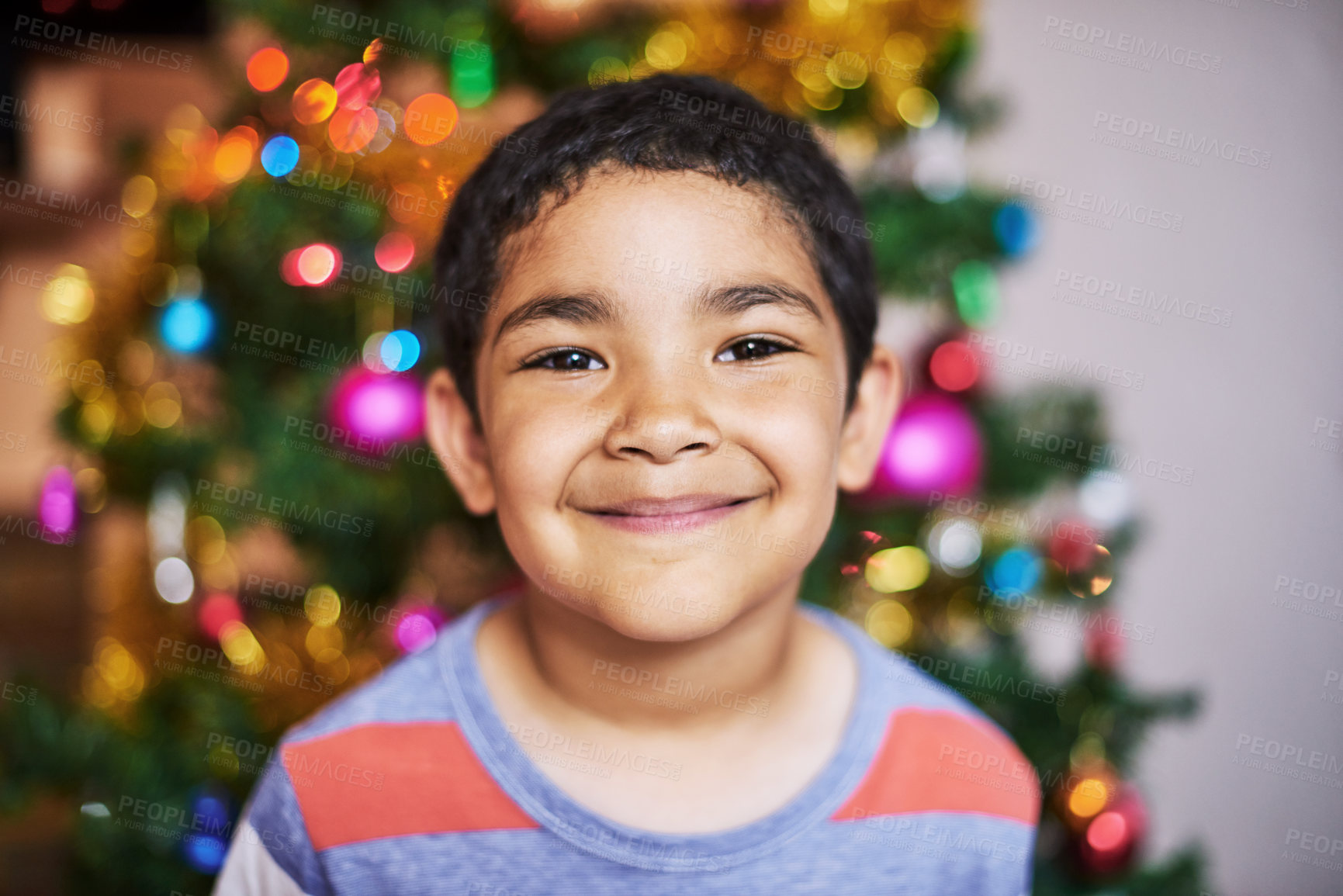 Buy stock photo Portrait of a cheerful little boy smiling at the camera with a Christmas tree in the background at home during the day