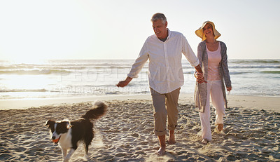 Buy stock photo Full length shot of an affectionate senior couple spending time with their dog at the beach
