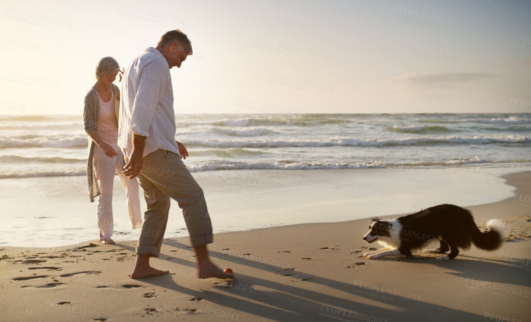 Buy stock photo Full length shot of an affectionate senior couple playing with their dog at the beach