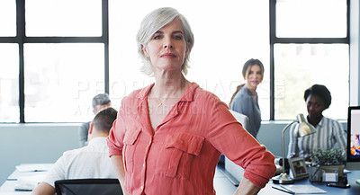Buy stock photo Portrait of a confident mature businesswoman working in a modern office with her colleagues in the background