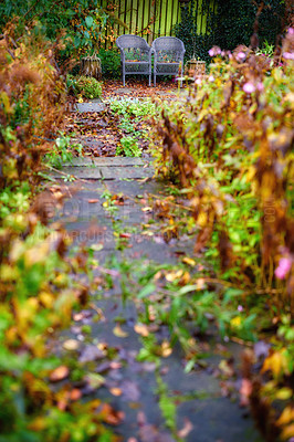 Buy stock photo A series of beautiful garden photos