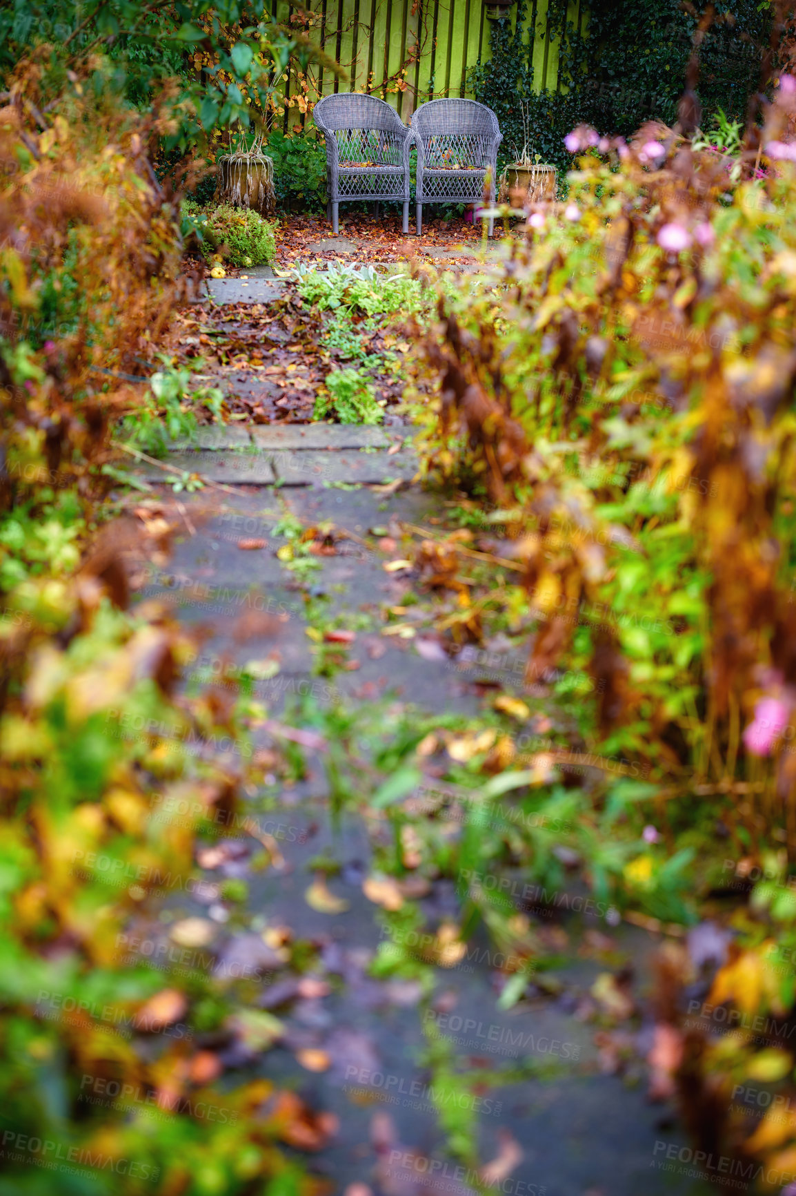 Buy stock photo A series of beautiful garden photos