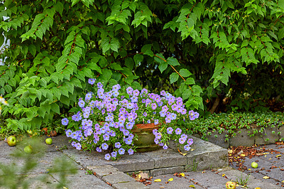 Buy stock photo A series of beautiful garden photos