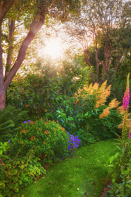 Buy stock photo A series of beautiful garden photos