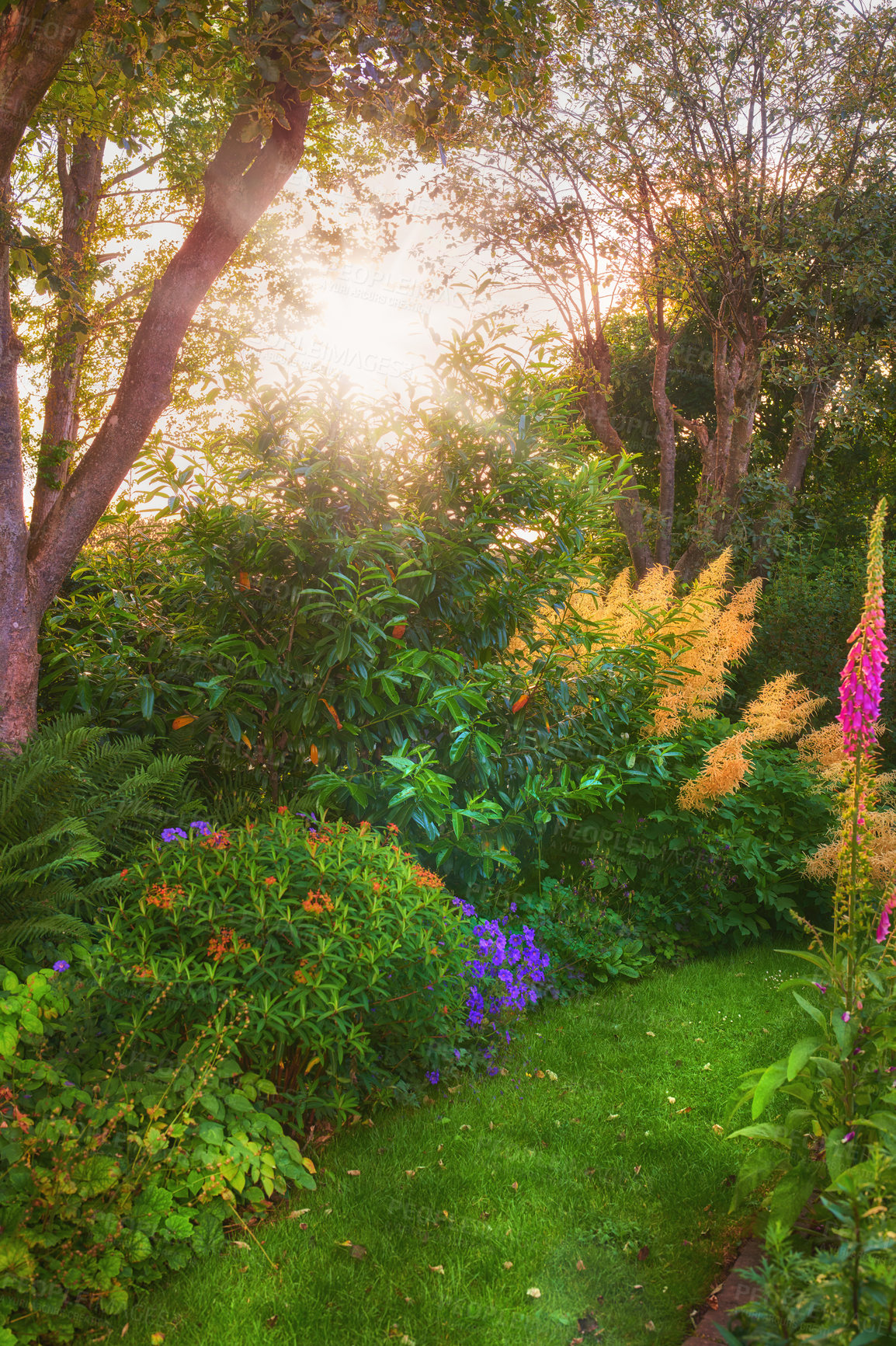 Buy stock photo A series of beautiful garden photos