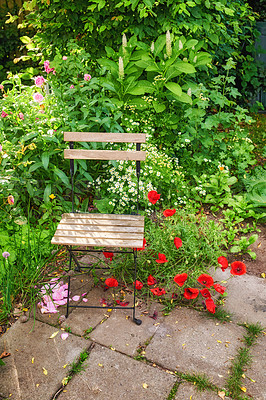 Buy stock photo The private spot of the Gardener - the beauty of garderning 