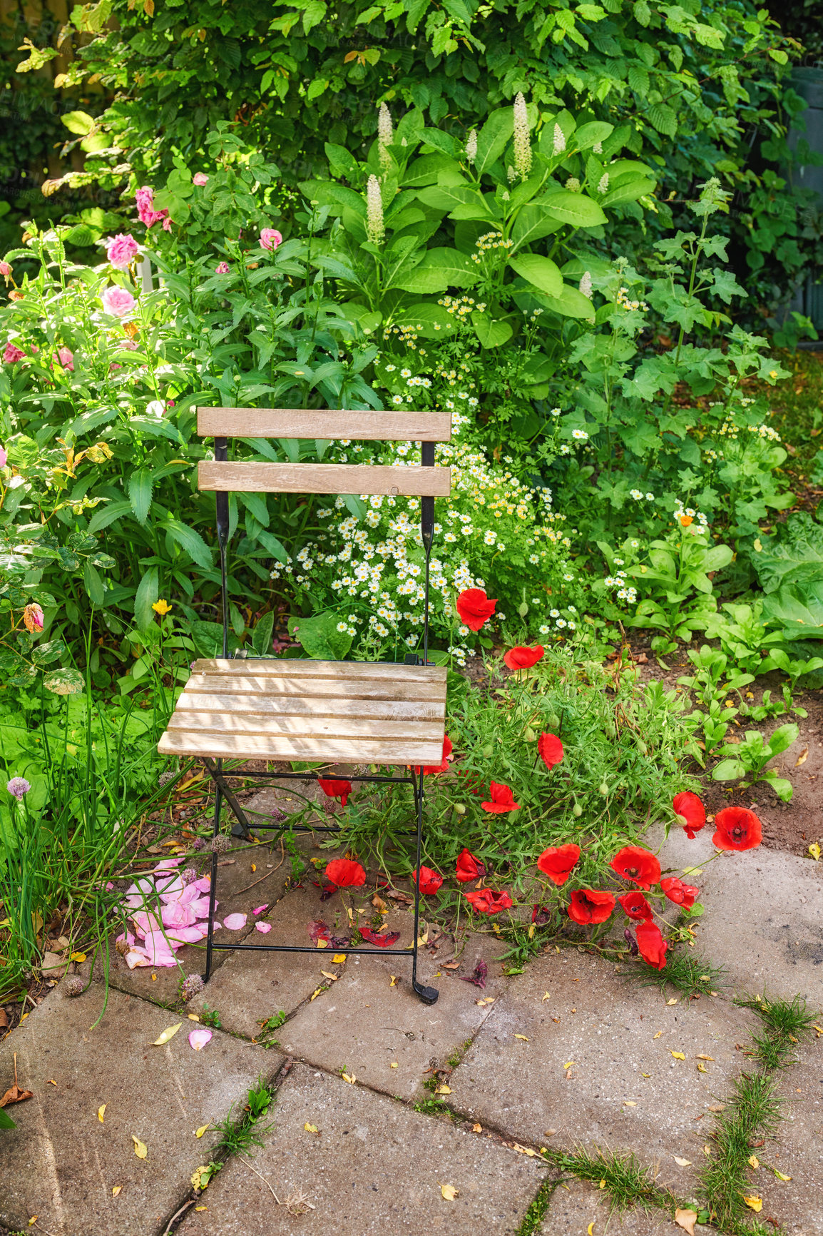 Buy stock photo The private spot of the Gardener - the beauty of garderning 