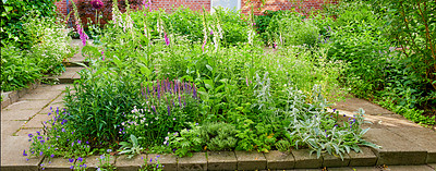 Buy stock photo A series of beautiful garden photos