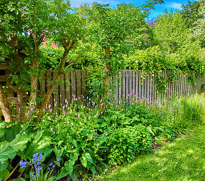 Buy stock photo A series of beautiful garden photos