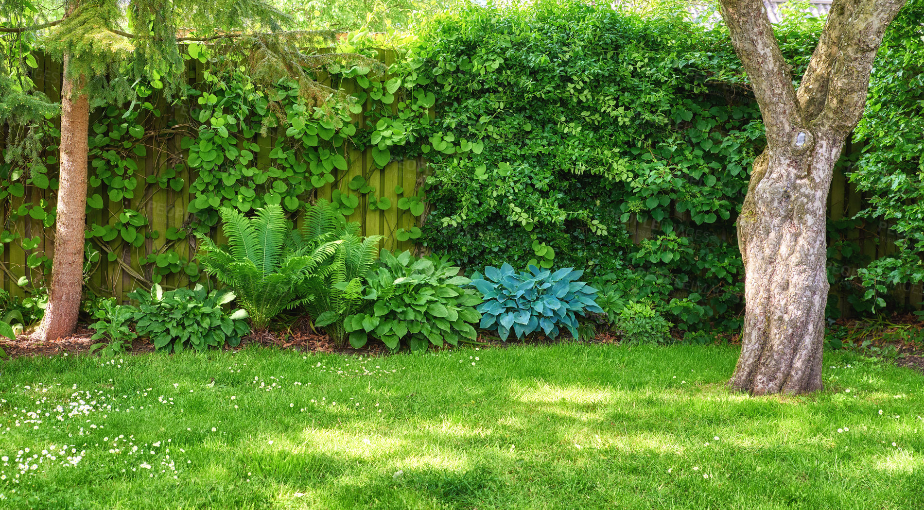 Buy stock photo A series of beautiful garden photos