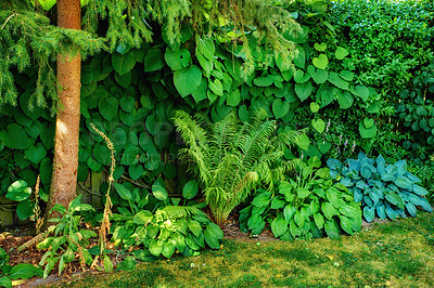 Buy stock photo A series of beautiful garden photos