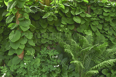 Buy stock photo A series of beautiful garden photos