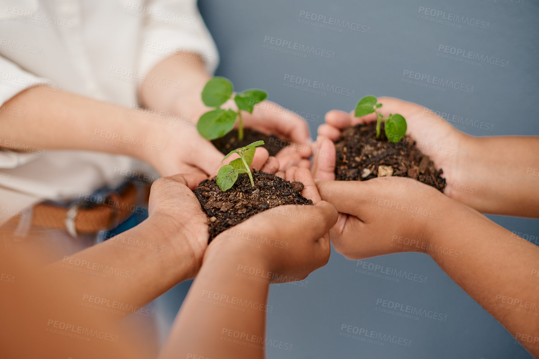 Buy stock photo Cropped shot of an unrecognizable group of businesswomen holding plants growing out of soil inside an office