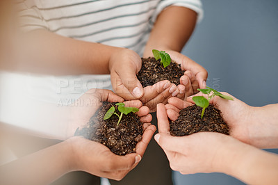Buy stock photo Cropped shot of an unrecognizable group of businesswomen holding plants growing out of soil inside an office