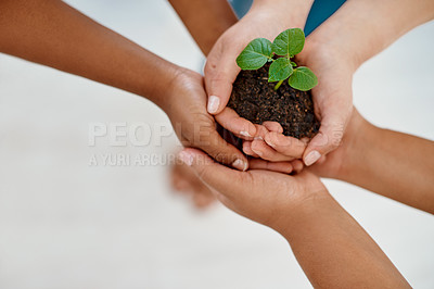 Buy stock photo Cropped shot of three unrecognizable businesswomen holding a plant growing out of soil inside an office