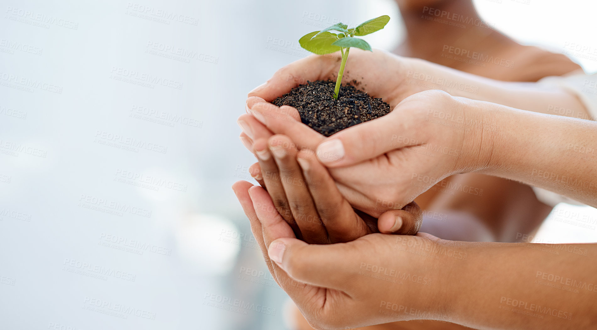 Buy stock photo Fertilizer, plant and hands of business people together with teamwork, collaboration and support for earth day. Eco friendly, agro and group of employees with dirt for green leaf growth with mockup.