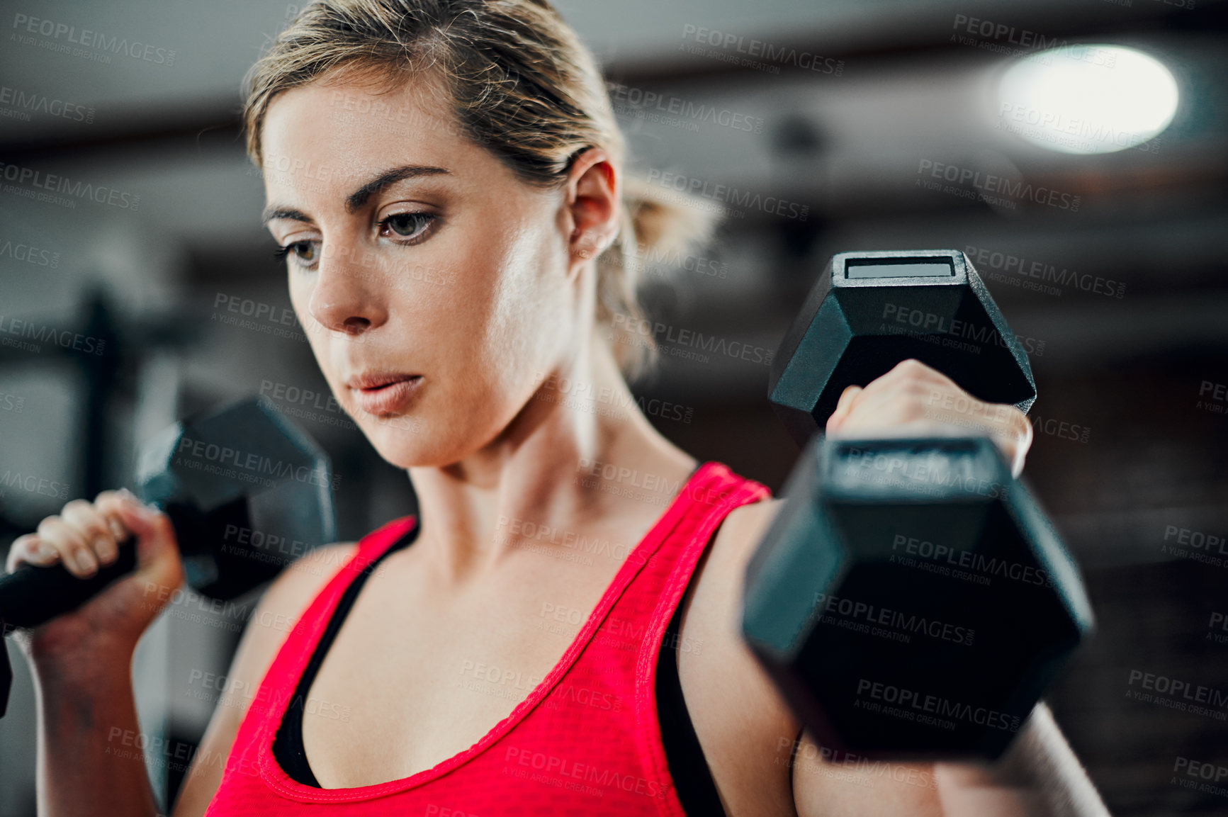 Buy stock photo Cropped shot of an attractive young female athlete working out with dumbbells in the gym