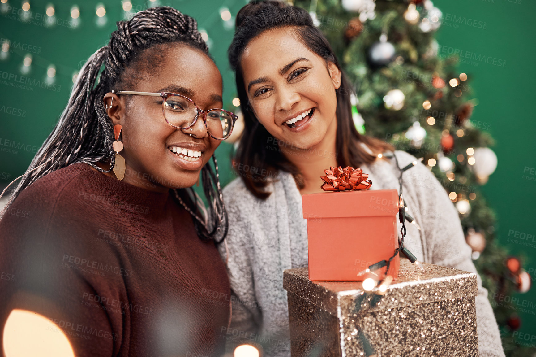 Buy stock photo Portrait of two happy young women celebrating Christmas at home
