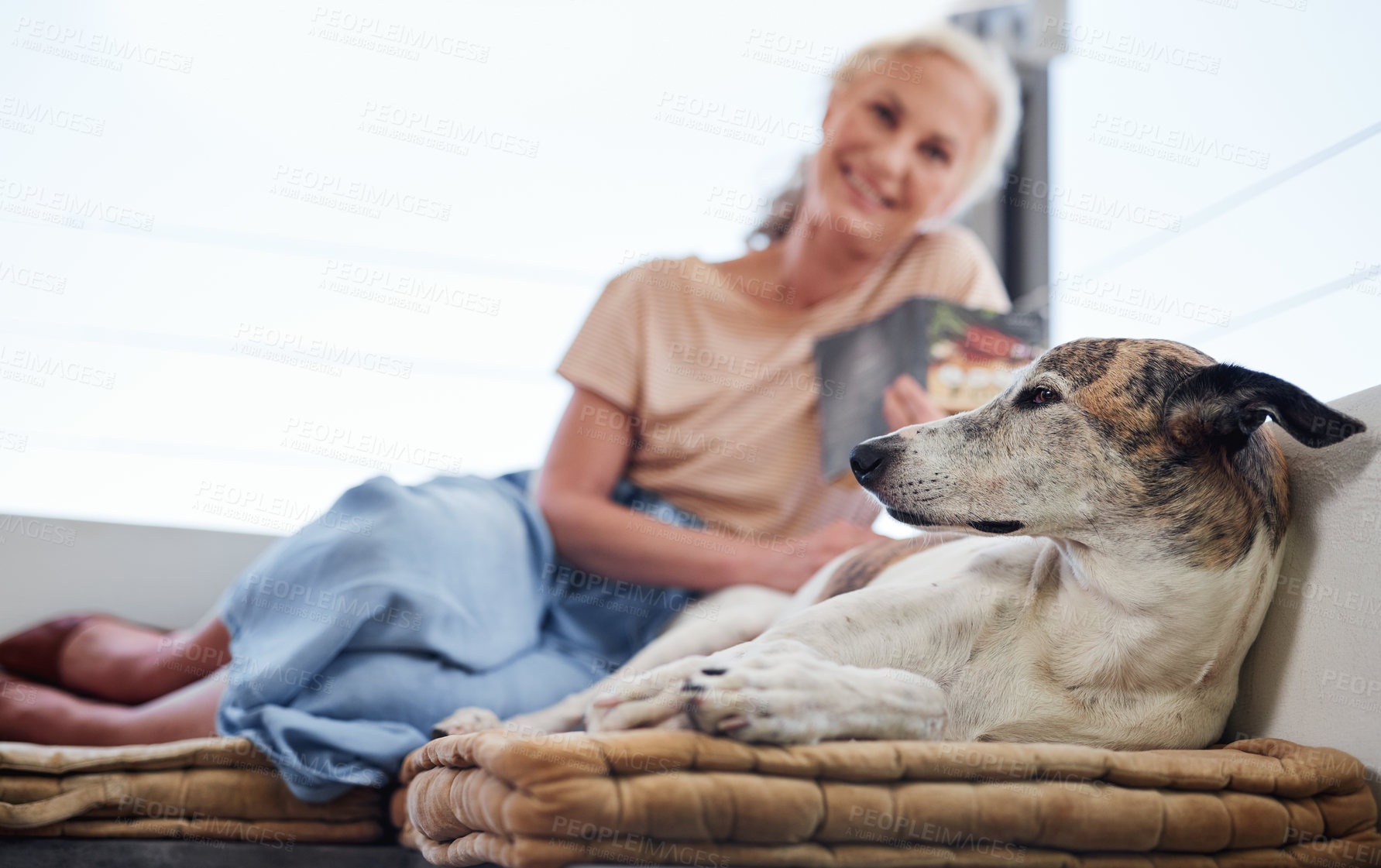 Buy stock photo Cropped portrait of an attractive senior woman reading a book while relaxing on the balcony with her dog