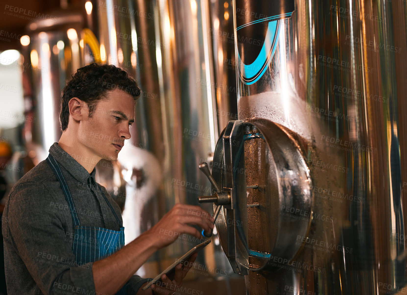 Buy stock photo Shot of a young working man doing inspection of their beer making machinery inside of a beer brewery during the day