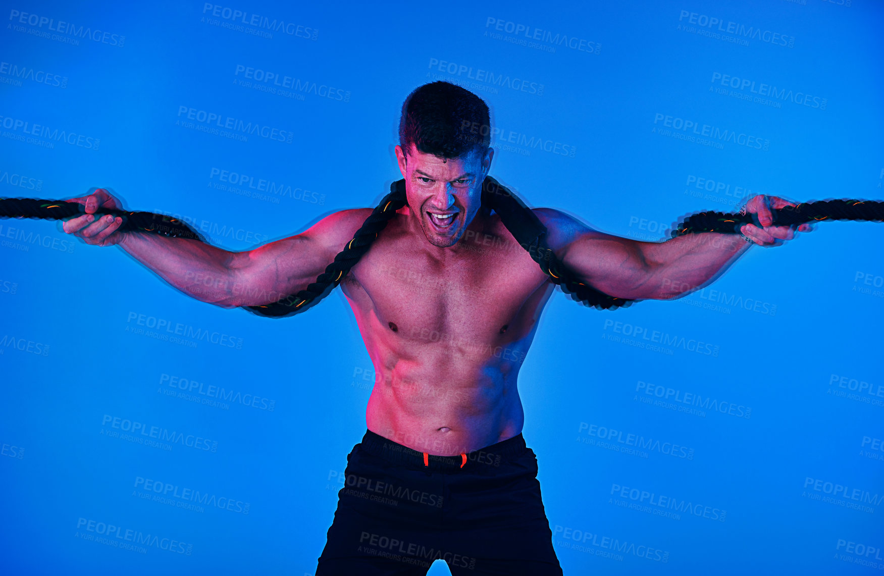 Buy stock photo Man, fitness and studio with battle rope for strength, workout or intense training on a blue background. Young, male person or muscular bodybuilder with strong cable for gym, stamina or endurance