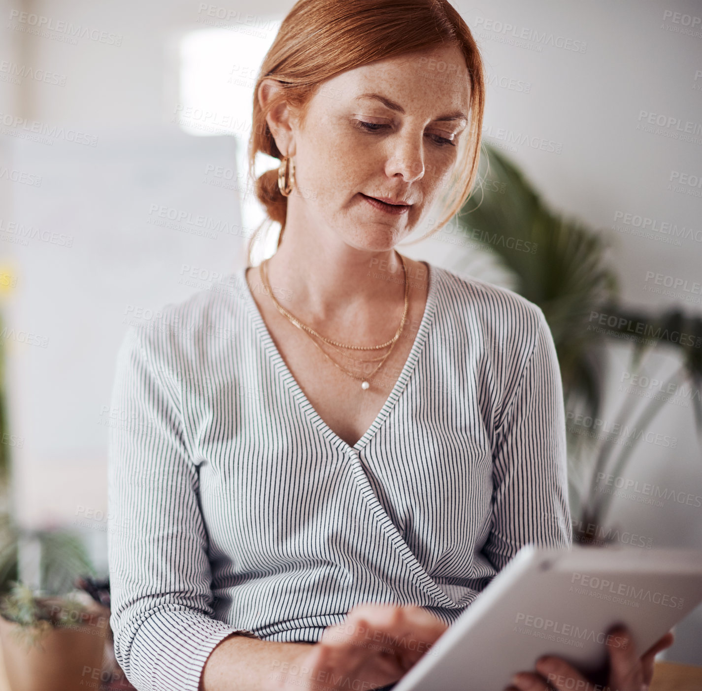 Buy stock photo Shot of a mature businesswoman using a digital tablet in an office