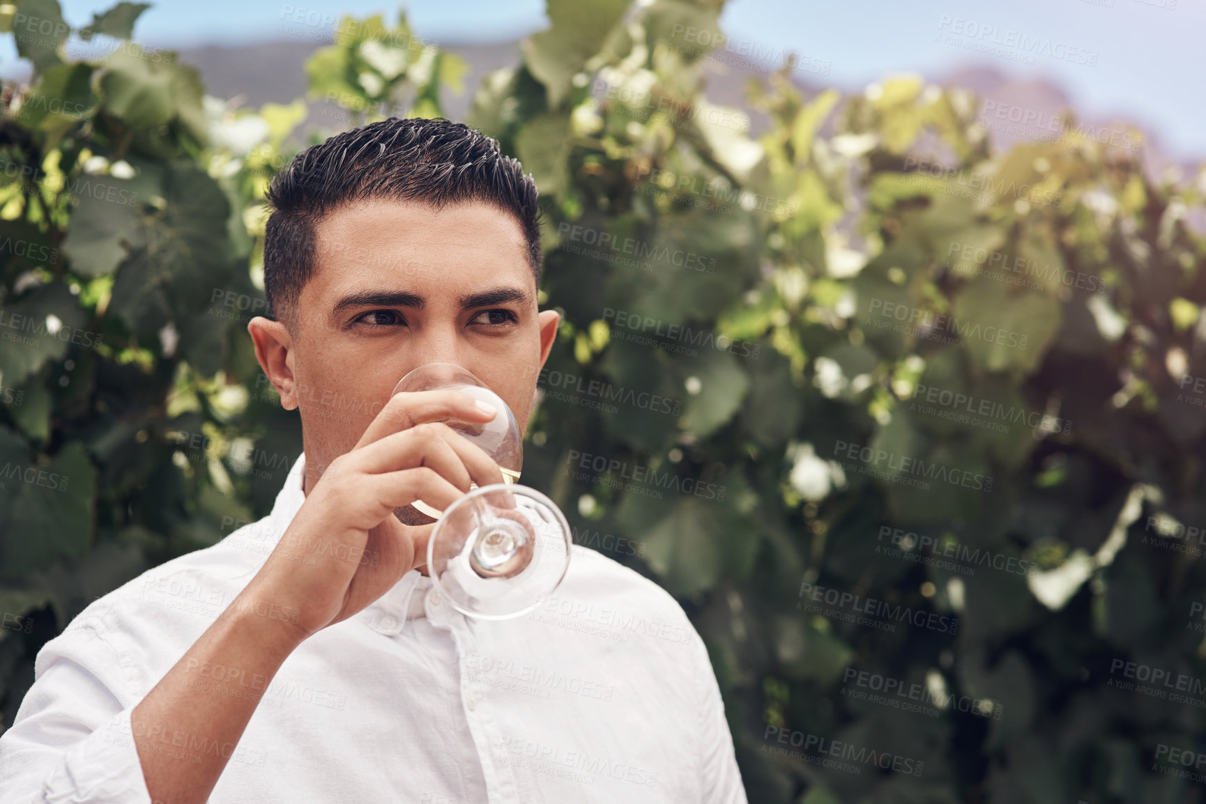Buy stock photo Cropped shot of a handsome young man having a glass of wine on a vineyard