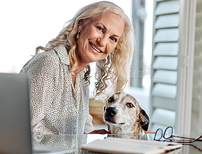 Buy stock photo Cropped portrait of an attractive senior businesswoman playing with her dog while working from home