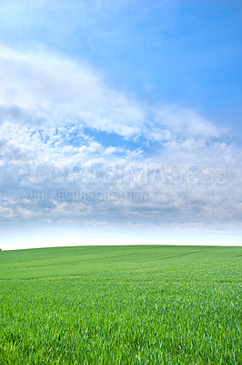 Buy stock photo Green fields and blue sky in spring and early summer