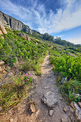 Buy stock photo A scenic hiking trail along Lions Head mountain in Cape Town, South Africa against a cloudy blue sky background. A  lush and rugged natural landscape to explore with copyspace in a mountain range