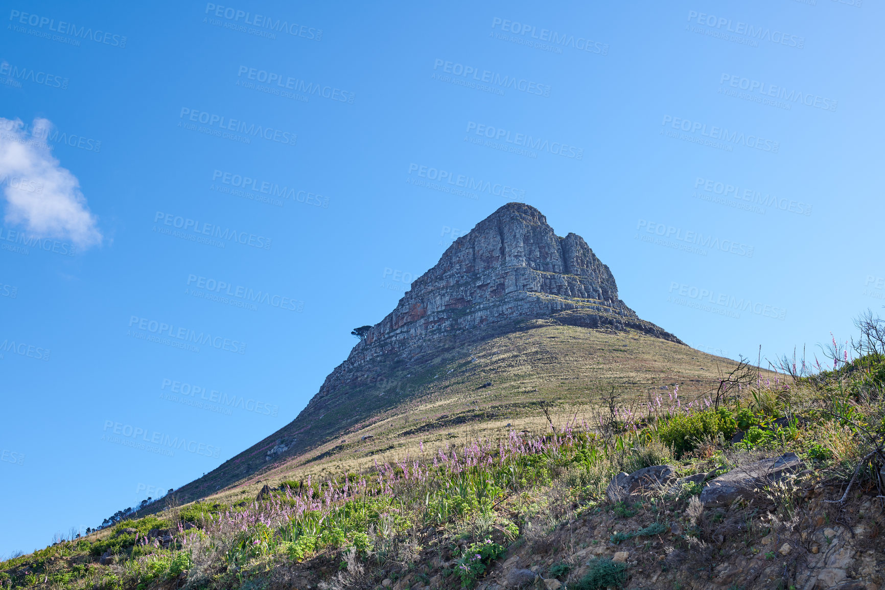 Buy stock photo Landscape of a mountain against a clear blue sky with copy space. Mountain peak with lush green pasture and flowers thriving in a natural environment. Popular tourism location in South Africa