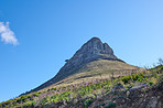 Lion's Head